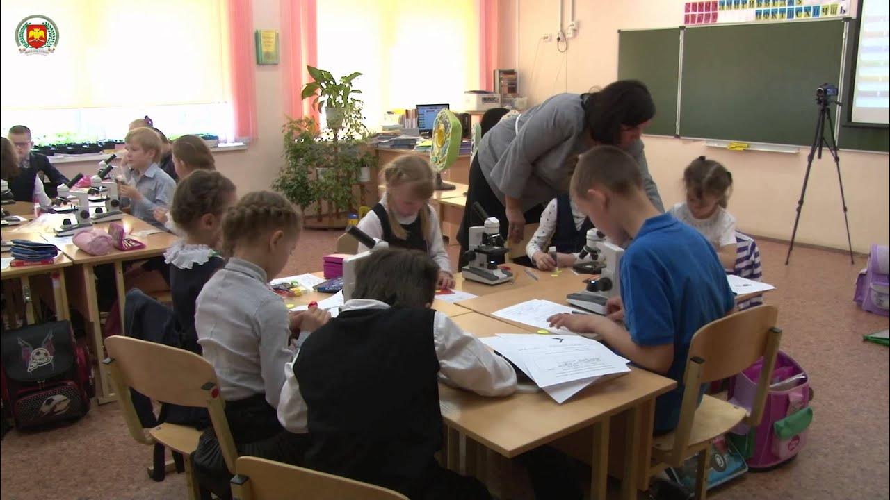 Путешествие в мир клетки - YouTube