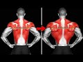 12 Dumbbell Back Exercises for a V Taper — Wide Lats, Thick Back, Real Results