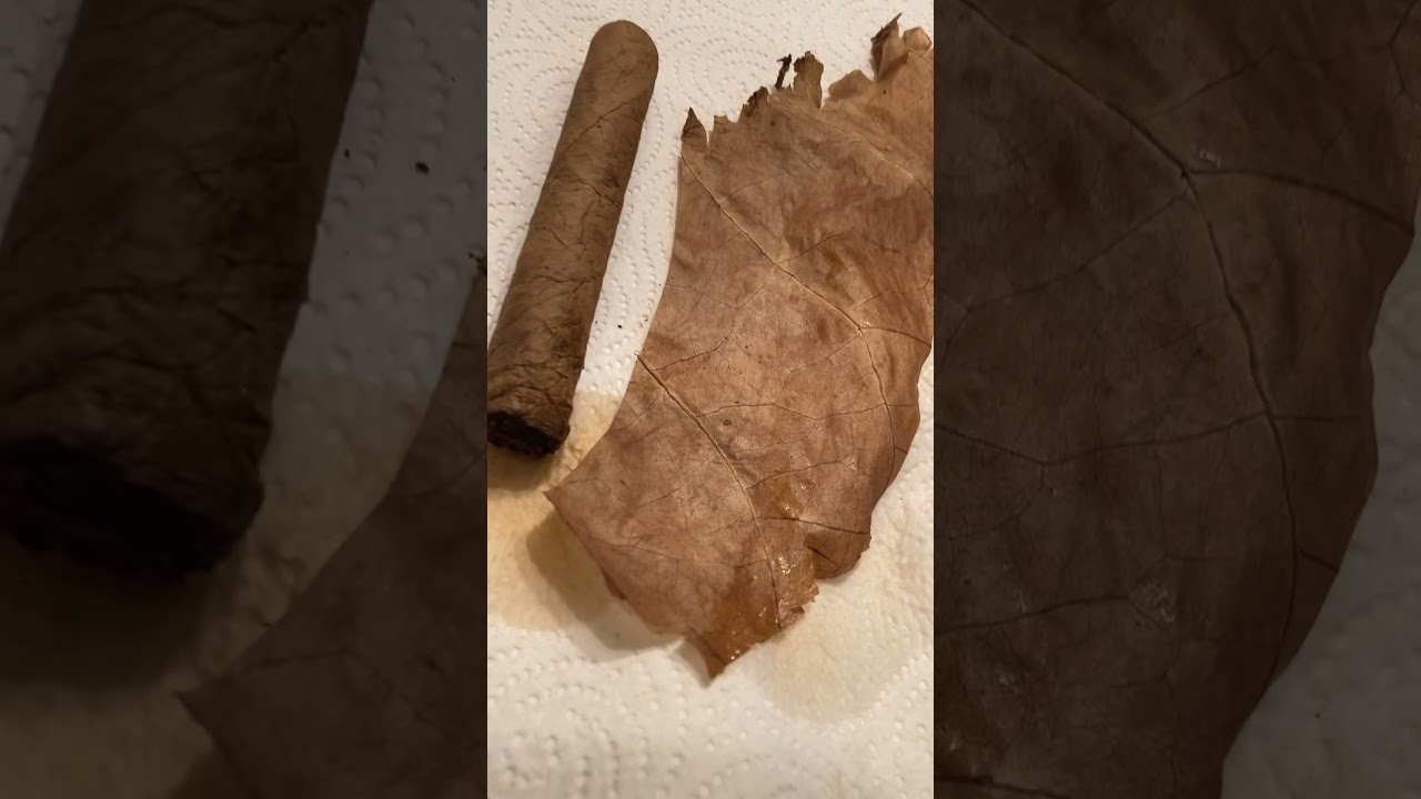 Cigar mini blunt