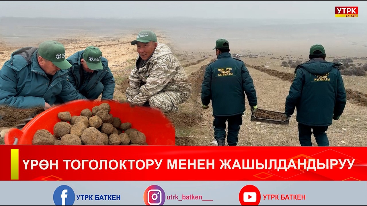 ҮРӨН ТОГОЛОКТОРУ МЕНЕН ЖАШЫЛДАНДЫРУУ