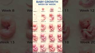 BABY GROWTH 🥰🥰 #trending #shortvideo #baby #growth #babytoys