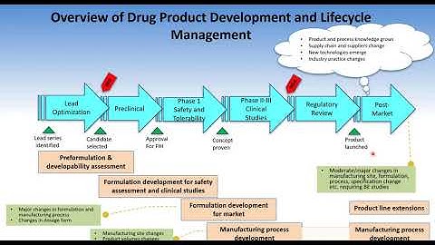 Utilization of PBBM/PBPK Models for Building a Safe Space and Regulatory Applications in Support of