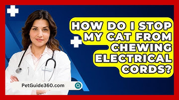 How Do I Stop My Cat From Chewing Electrical Cords? - PetGuide360.com
