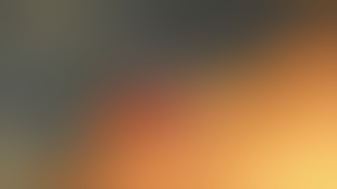 Hamstring Graft Harvest