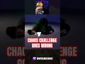 Chaos Challenge Gone WRONG