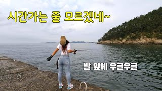 고등어가 너무 먹고싶어요.