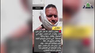 مأساة وطن الكلاب السائبة .. مابين مخاطر تهدد حياة البسطاء واجراءات حكومية فاشلة