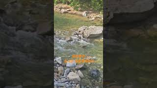 #갈론펜션#갈론계곡 #가족여행 #가족 #계곡 #봄 #봄비 #봄날카페 #괴산 #산막이옛길 #충청북도 #주말 #주말여행 #힐링 #힐링영상 #추천 #여행지추천 #휴일 #갈론마을