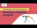 The left coronary artery - A walk-through