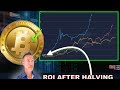 Roi after bitcoin 2024 halving i underestimated it