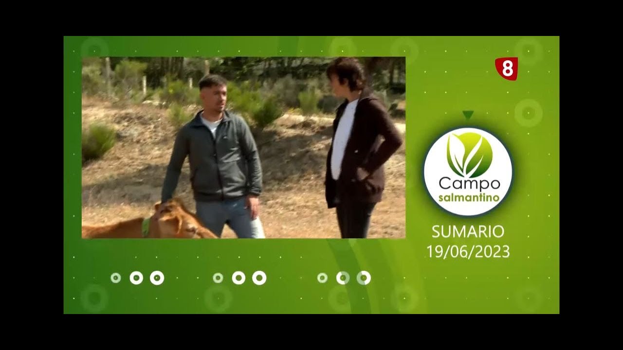 VALLADO VIRTUAL Y PASTOREO ROTACIONAL | GANADERIA REGENERATIVA EN ESPAÑA