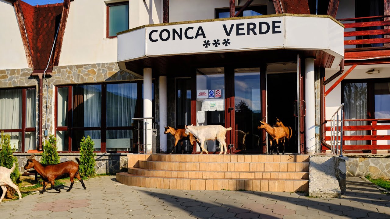 Cateva imagini de la Complexul Turistic Conca Verde - Rasnov (DN 73A ...