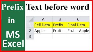 How to add prefix to a  single cell or range of cells in excel with vba