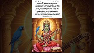 Maa Matangi The Tantric Saraswati Goddess Of Wisdom, Music & Speech