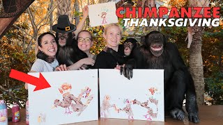 THANKSGIVING WITH CHIMPANZEES!