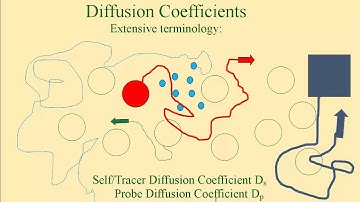 Lectures on Polymer Solution Dynamics 7