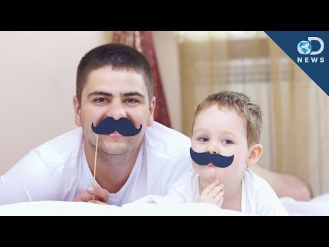 The Science Of Stay-At-Home Dads!