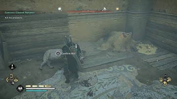 KILL THE PREDATORS Assassin