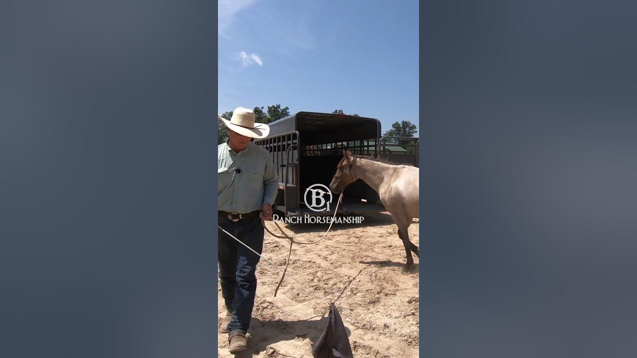 how-to-get-a-horse-to-load-itself-on-the-trailer-1-youtube