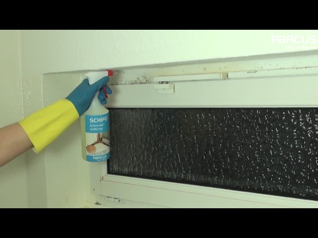 Schimmelentferner – Schimmel am Badezimmerfenster kinderleicht entfernen  (Bisher: SCHIFO) 