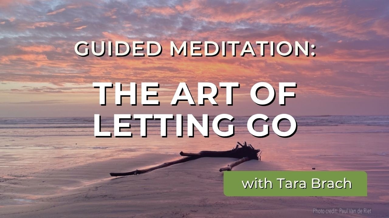 Guided Meditation: The Art of Letting Go | Tara Brach