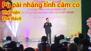 Pù pài nhằng tỉnh cằm có - Thế Bách thể hiện