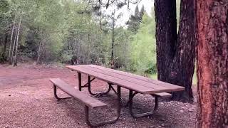 Colorado Camping!! Mogote Campground; Antonito, Colorado