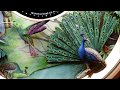 Механическое чудо: Jaquet Droz Tropical Bird Repeater