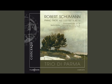 Sleduj Trio No. 2 in F Major, Op. 80: I. Sehr lebhaft na YouTube