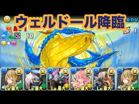 パズドラ ウェルドール降臨 絶地獄級 高速周回 メリディオナリス ソロ Youtube