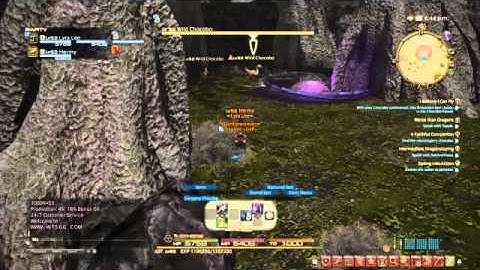 How to get your grand company Chocobo to fly