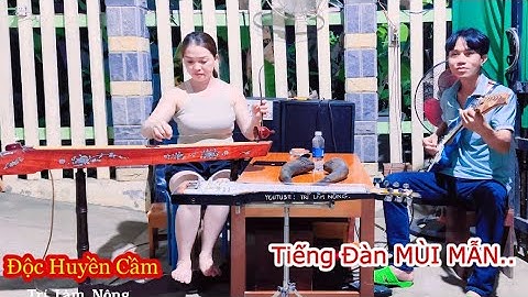 Đàn ĐỘC HUYỀN CẦM,liên khúc ngẫu hứng,tiếng Đàn Mùi Mẫn #trilamnong