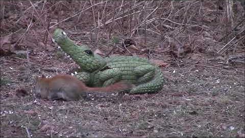 Audio Visual Catnip- May 2018