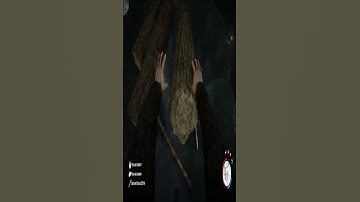 Duplication Glitch DO IT before its Patched Sons of the Forest