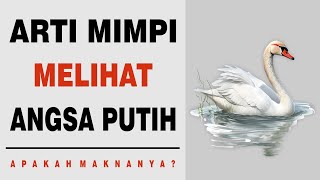 Arti Mimpi Melihat Angsa Putih