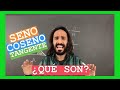 ¿ Qué son VERDADERAMENTE el SENO , COSENO y la TANGENTE ? | CURSO de TRIGONOMETRIA Clase #1