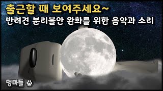 #멍마들  (12시간 재생) 출근할 때 보여주세요~ | 반려견 분리불안 완화를 위한 음악과 소리 - Show us when you go to work screenshot 2