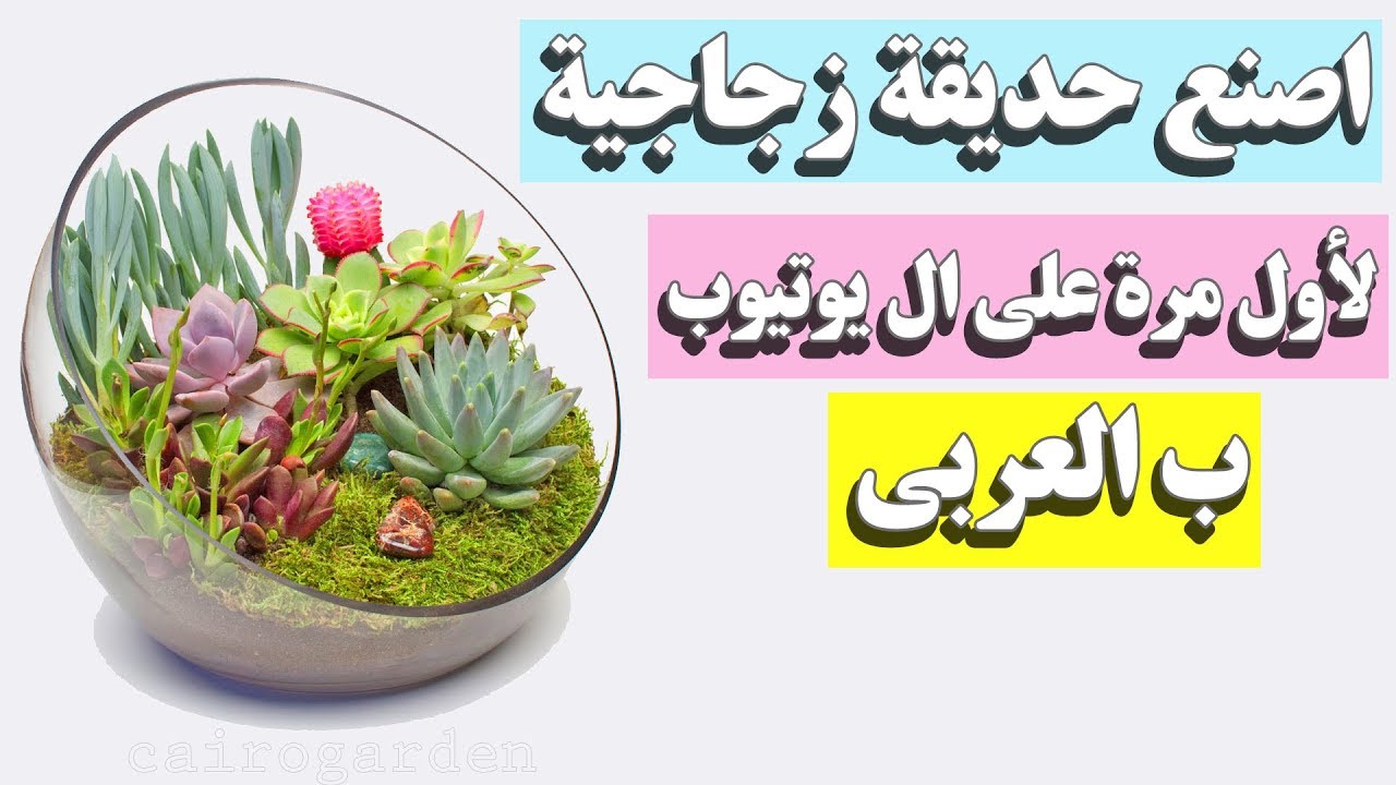 ؟استخدم النباتات فى الديكور داخل المنزل ١ - كيف تصنع حديقة زجاجية فى بيتك
