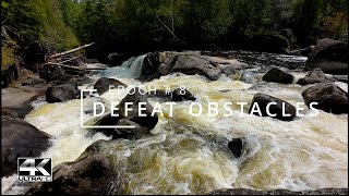 NATURE IN MOTION: A 4K High Velocity Rapids in Evergreens