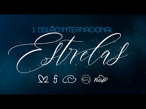 Lote 02 (Bora Bora FIV CBA - CABN 248)