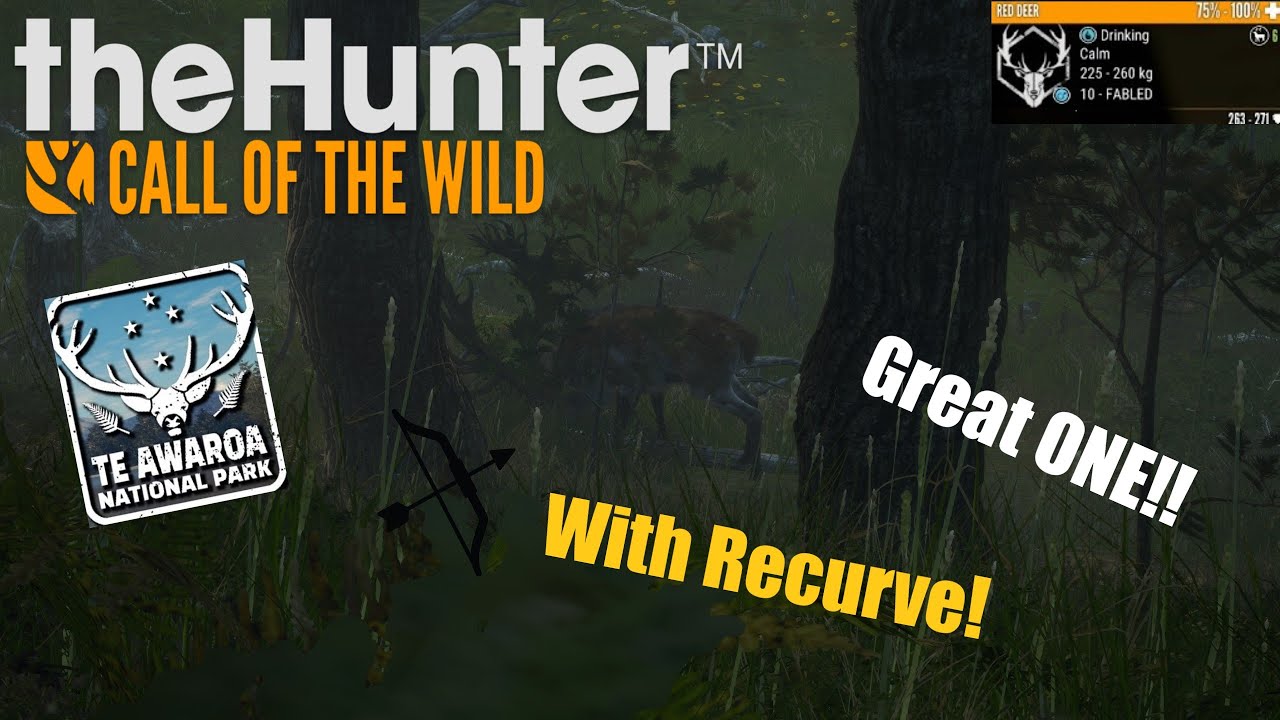 Great One Red Deer with Bow!!The Hunter Call of the Wild YouTube