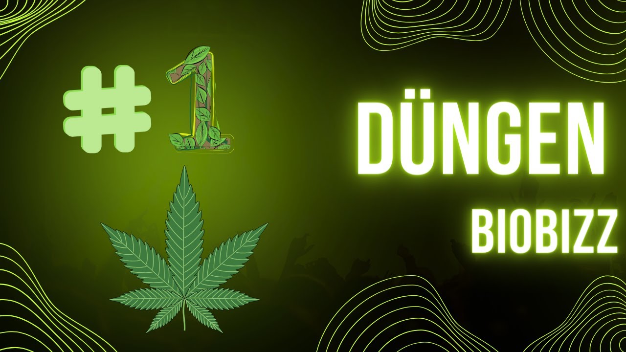 Erstes mal Düngen mit Grow YouTube