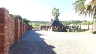 T1269840