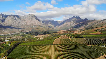 Stellenbosch - South Africa 4K