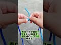 【牛 9 頭でも引き離せないロープ結び】簡単数ステップで覚えれる！驚くほどしっかり，早く学ぼう～# 超強力結び #ロープ結びの仕方 #生活ハック