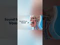 How to Pronounce A? | अ / Aa in 3D Mouth Animation 🤯A का सही उच्चारण कैसे करें? | #viral #trending