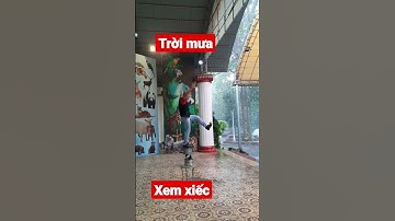 #shorts trời mưa đi xem xiếc