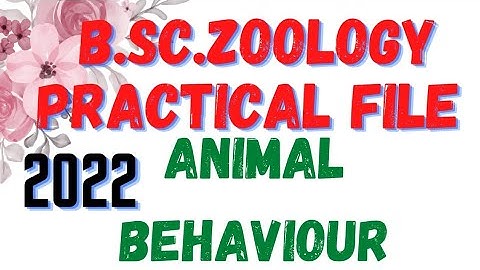 B.Sc. Zoology Animal behaviour practical record book 2022 5th semester. #recommended #practical