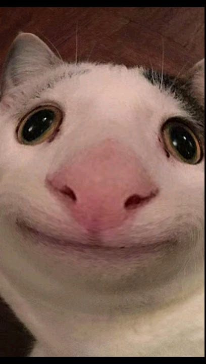 Beluga face reveal 💀beluga shorts