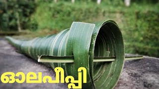 ഓലപപപപ Kerala Traditional Whistle Coconut Leaf Whistle How To Make Olapeepi